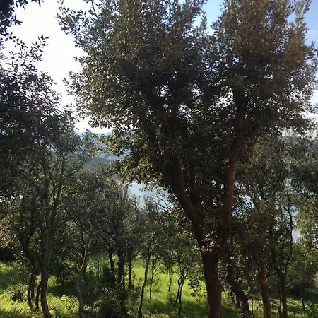 Favone Vue Mer * Conca